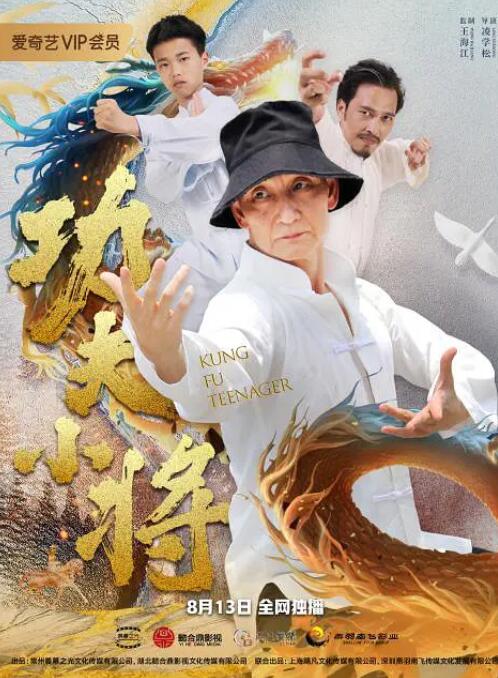 《绿奴vk》海报